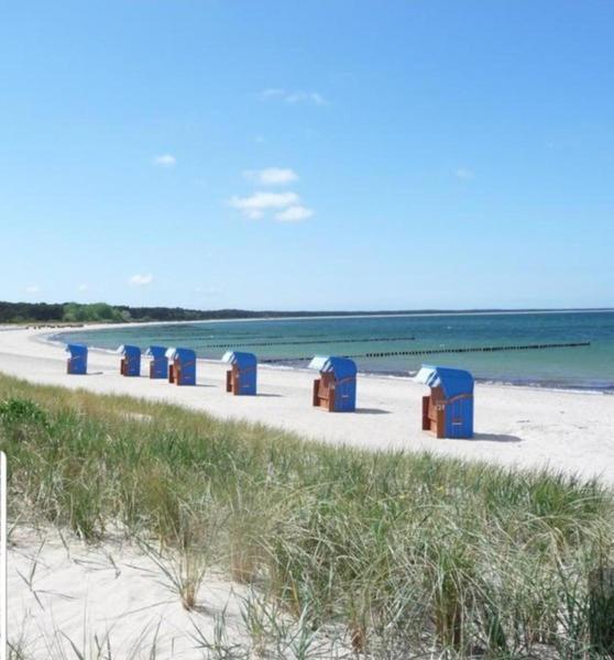 Ferienapartment Wiese & Meer Auf Ruegen Neddesitz Exterior foto