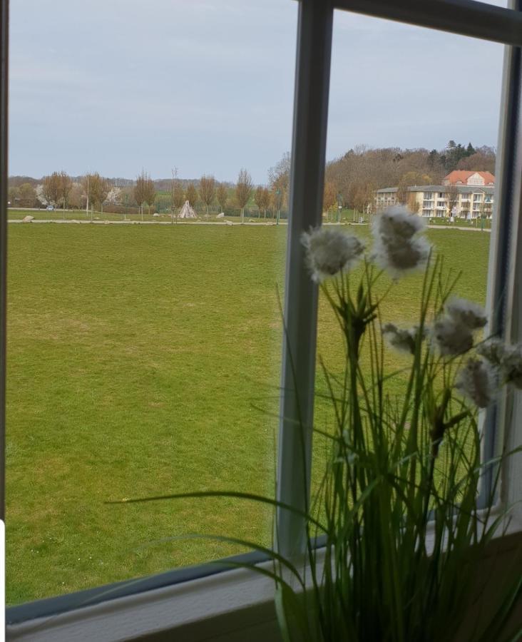 Ferienapartment Wiese & Meer Auf Ruegen Neddesitz Exterior foto